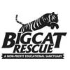 Tampa Big Cat Rescue